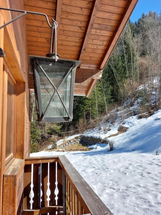 Chalet Peter Целль-ам-Зе Экстерьер фото